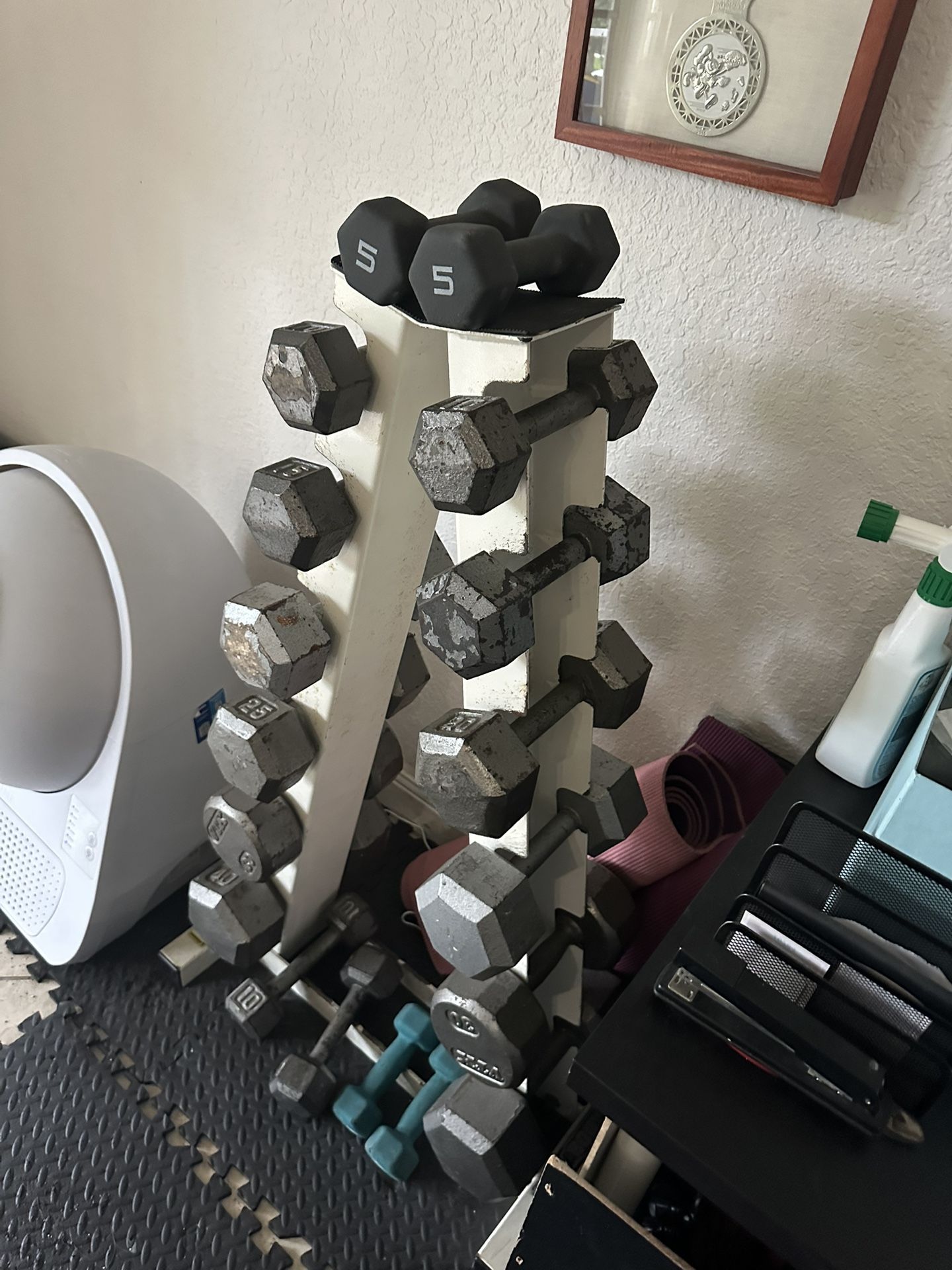 Dumbbell Set for Home Gym