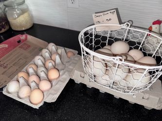 Premium Duck Eggs