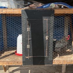 Chicken Coop