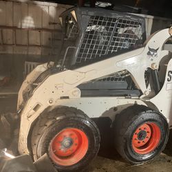Bobcat 