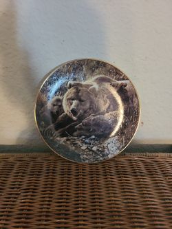 porcelain collectors plate