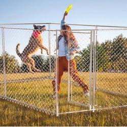 Dog Kennel