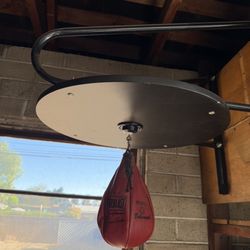 Everlast Speed Bag 