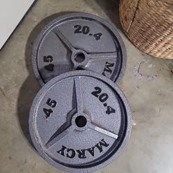 Marcy 45lb weights