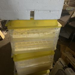 Incubators