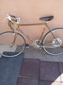 Vintage  Chicago Varsity Bike 