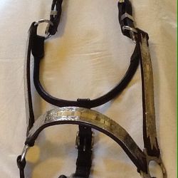 Silver Leather Show Halter for Horse