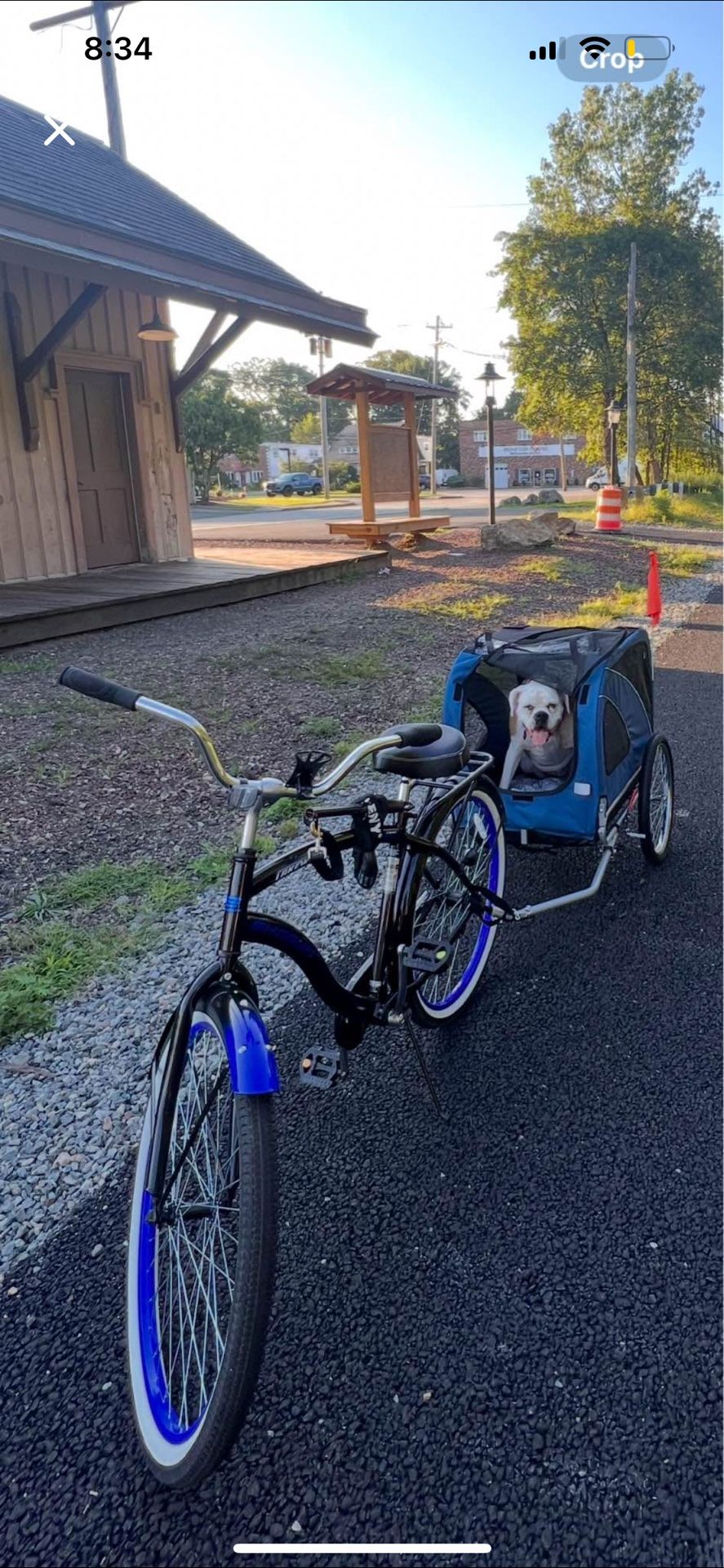 Large dog Trailer,