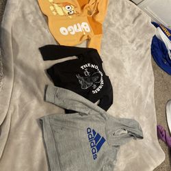 Boys Hoodies & Sweat Shirts 