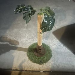 Palm tree cat Scratcher 