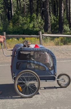 Dog pet bike trailer