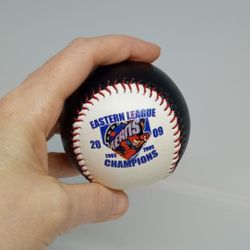 2009 Eastern League Champions AKRON AEROS Baseball BPI Info Systems + BONUS Plastic Rubberducks Chips/Snack Hat