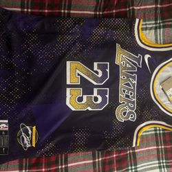 Los Angeles Lakers Lebron James