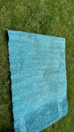 Teal carpet