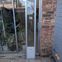 Dog door for sliding glass door