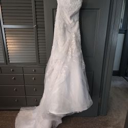 Wedding Dress And Veil