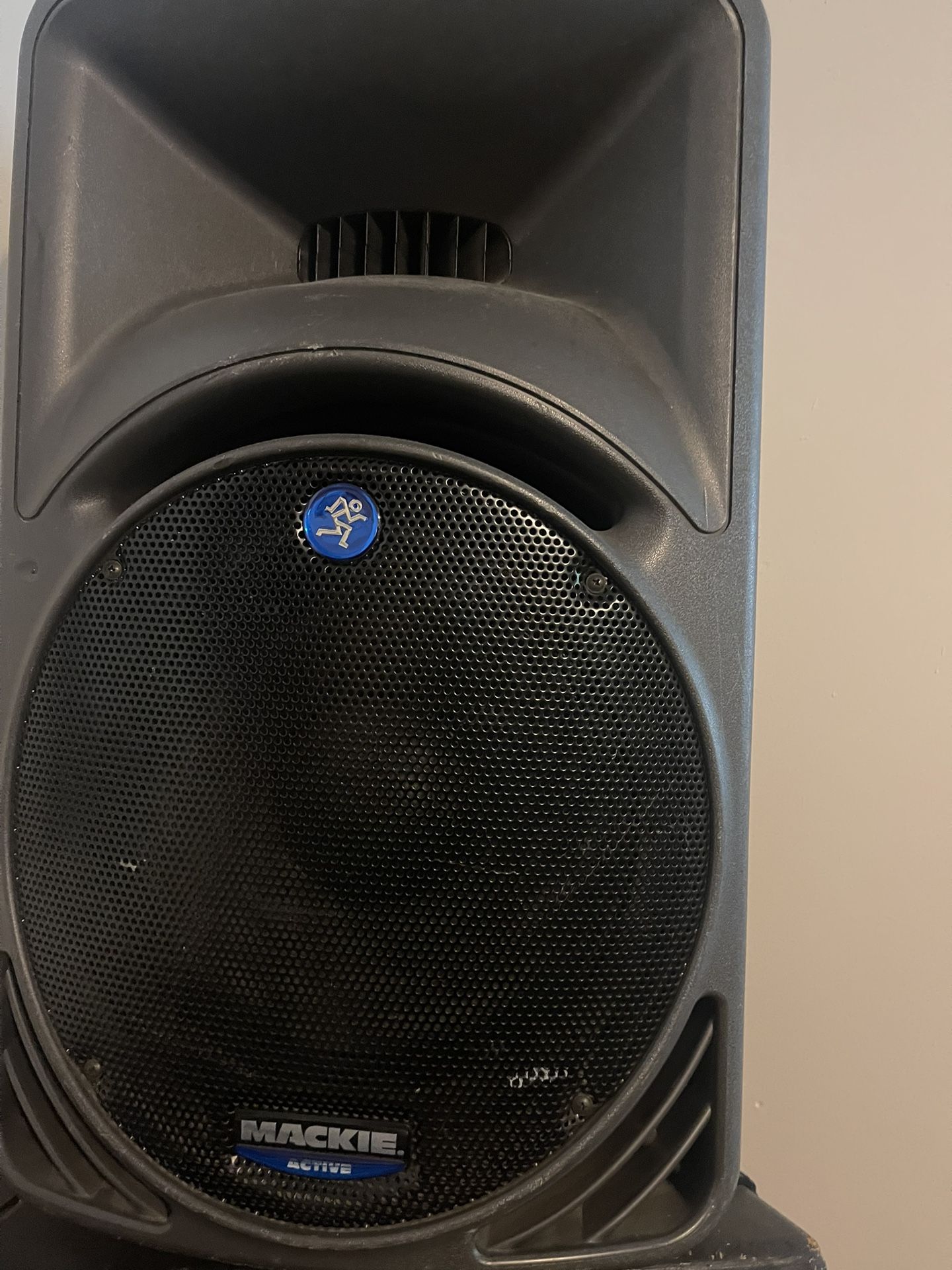 Mackie SRM450