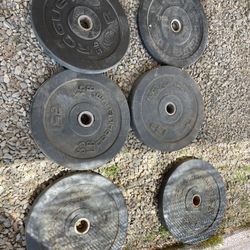 GYM WORKOUT EQUIPMENT 