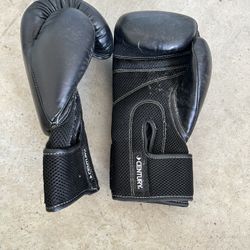 Kickboxing Gloves