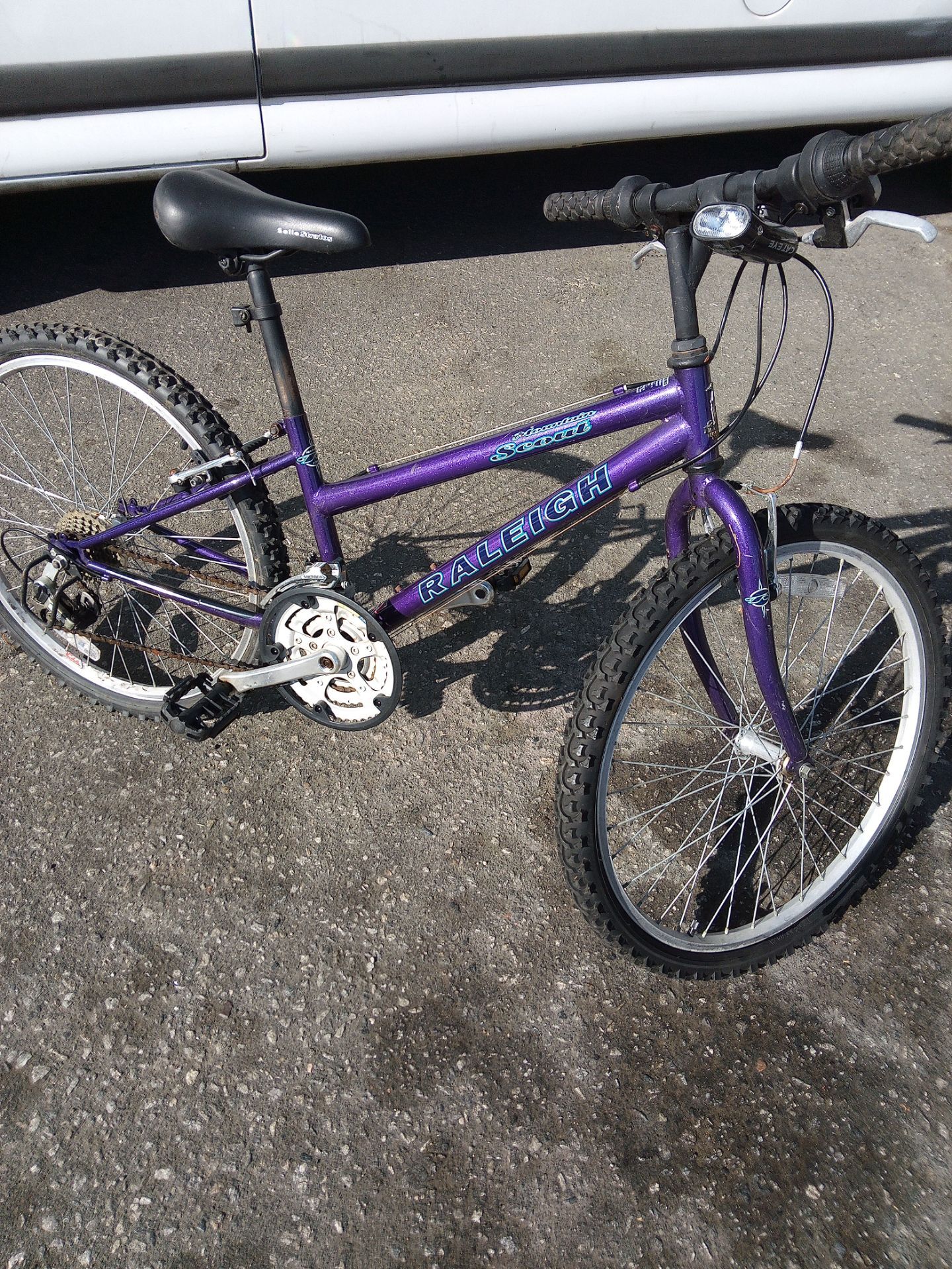 !! Girls 24 in wheels Bicycle By Raleigh