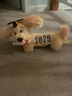 Graduation Class of 2025 Brown Animated Dog with Diploma and Graduation Cap 17"