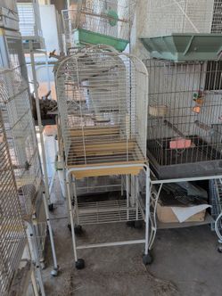 Cage and stand