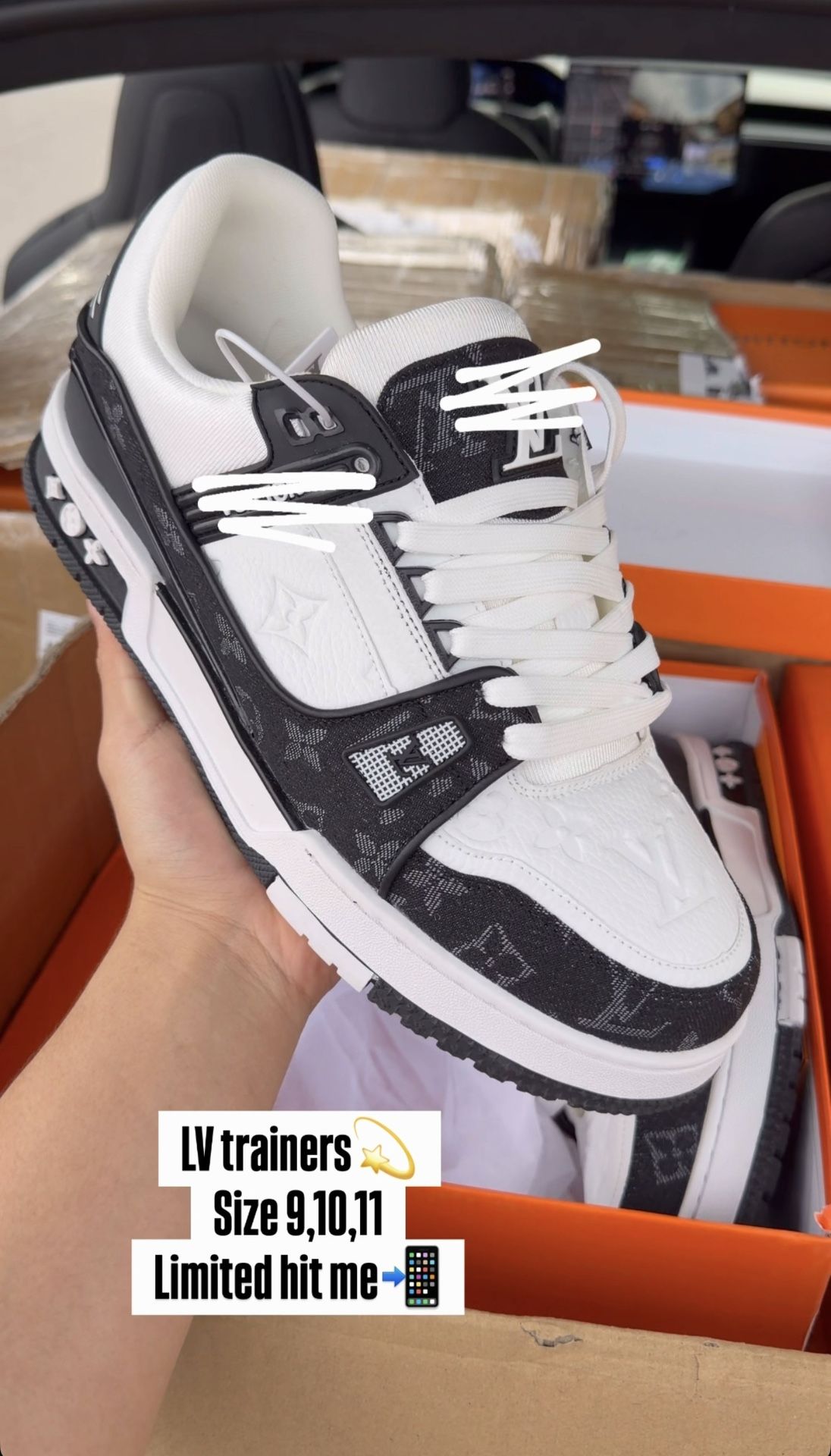 Louis Vuitton Trainers