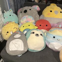 Squishmallows 