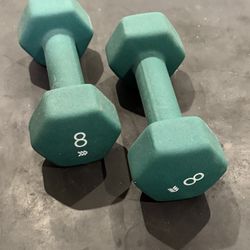 8lb Dumbbells 