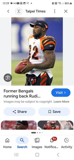 Cincinnati bengals r. johnson