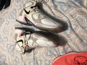 Size 14 lebron Ls