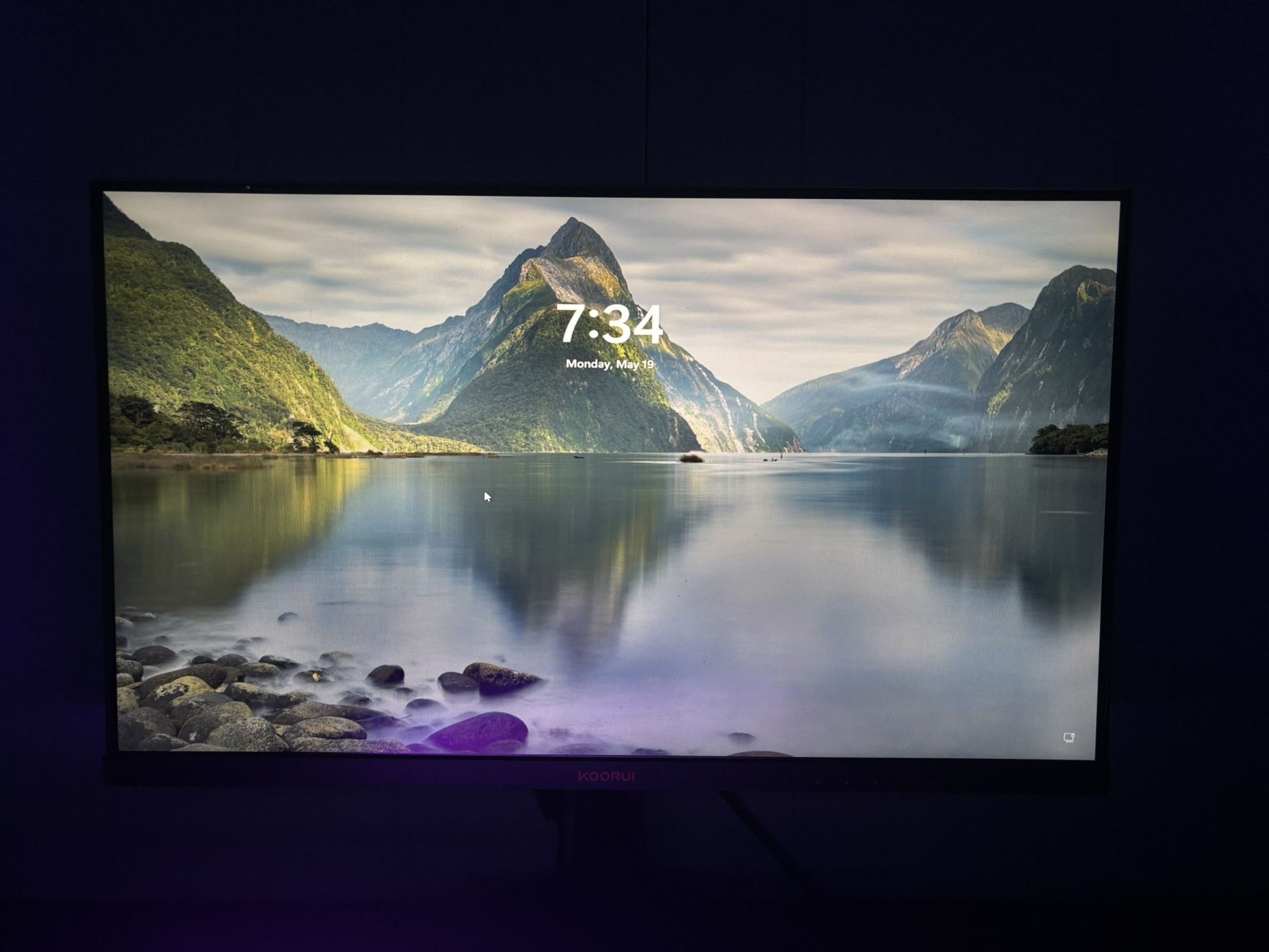 165hz Gaming Monitor
