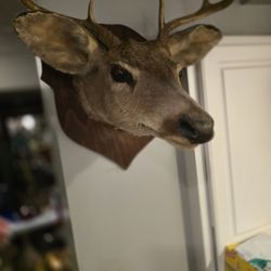 Deer Decoration 