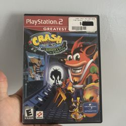 Crash Adventures PS2 Game 