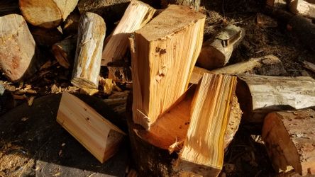 Dry FIREWOOD (Hardwood)