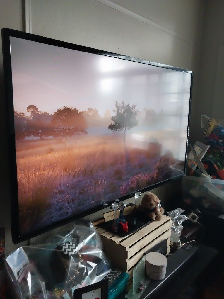 65' VIZIO TV