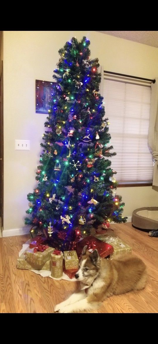 7.5 LED CHRISTMAS TREE White And Multi Colored Lights