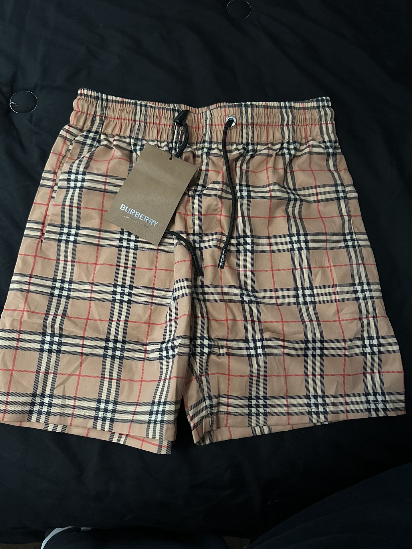 Burberry Shorts Men Sz Medium New