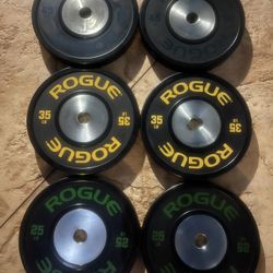 ROGUE COMPETITION TRAINING PLATES 2.0