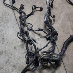 Engine Harness Oem Acura Tl Type S 01-03 