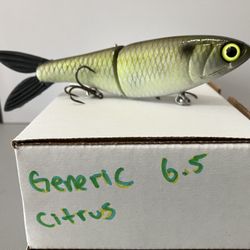 Rafa Custom Baits | Generic Glide Swimbait 6.5