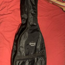 Guitar or Vihuela Case