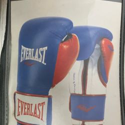 Nice boxing gloves