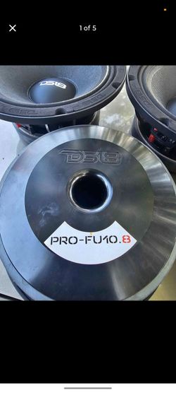 2 pro ds18 fu 10 inch