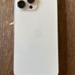 iPhone 13 Pro Max 1TB