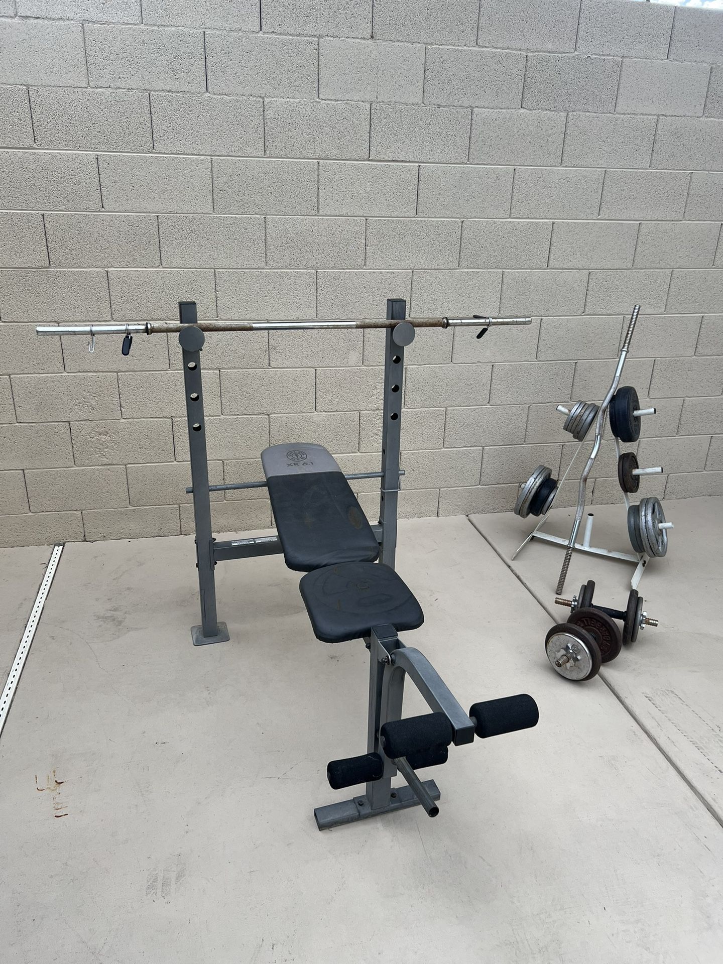 Bench Press And Dumbbells With Curl Bar