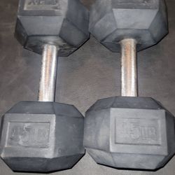 45lbs Dumbells Weights