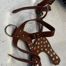 Large dog harness （2，one brown，one red）each for 8 Dollars 