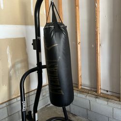 100lb Professional Punching Bag/stand/gloves