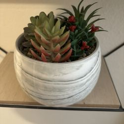 Faux Succulent In Pot 